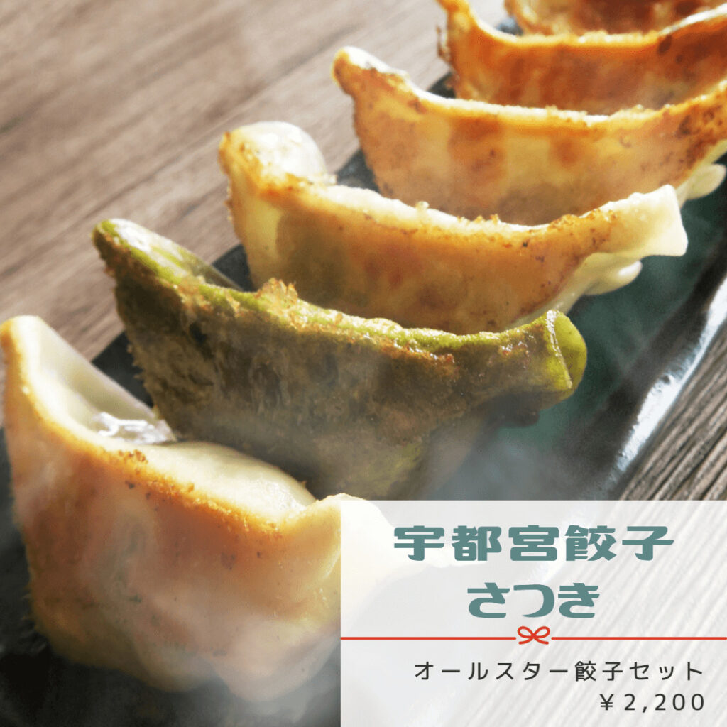 お歳暮2022年 宇都宮餃子さつき
