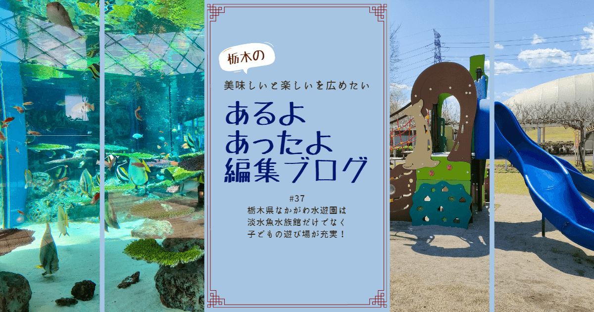 編集ブログ#37_那珂川水遊園_アイキャッチ