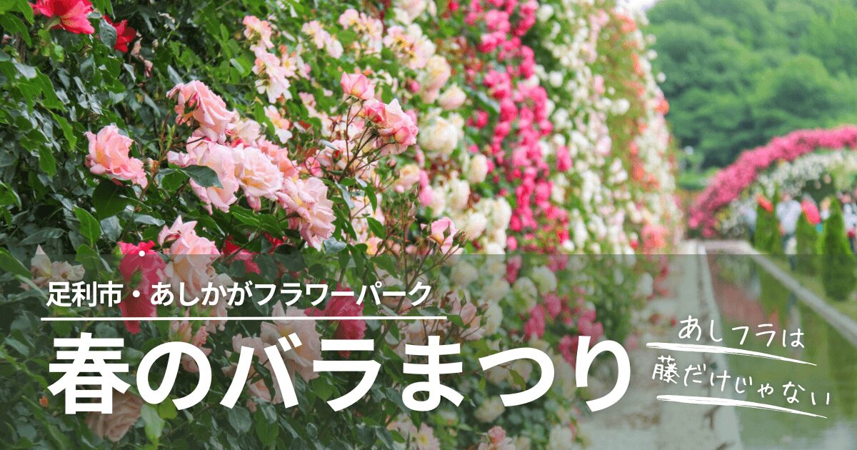 栃木県那珂川水遊園2025アイキャッチ