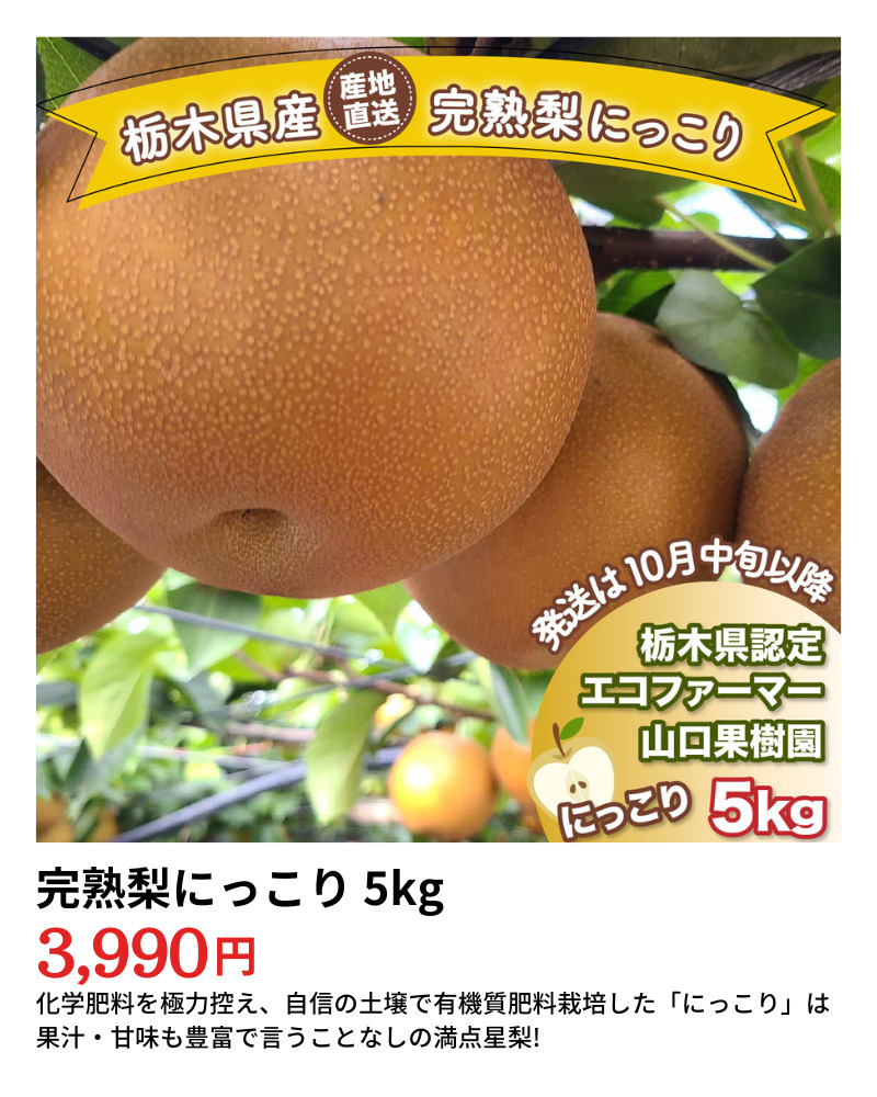山口果樹園　完熟梨にっこり商品ページリンク画像