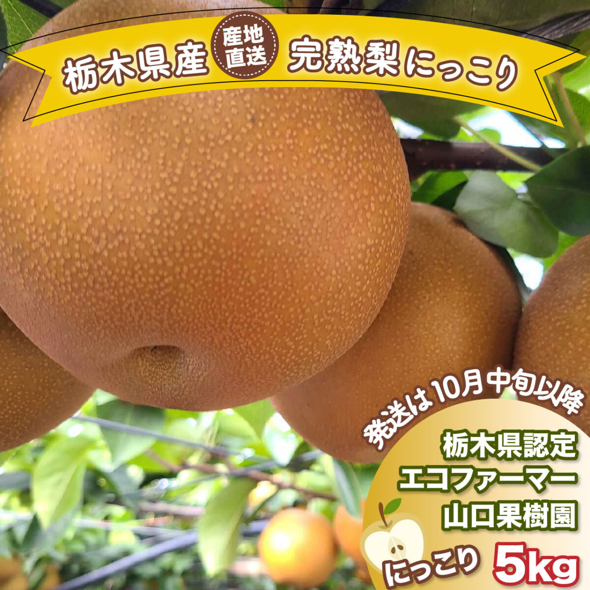 山口果樹園_商品_にっこり