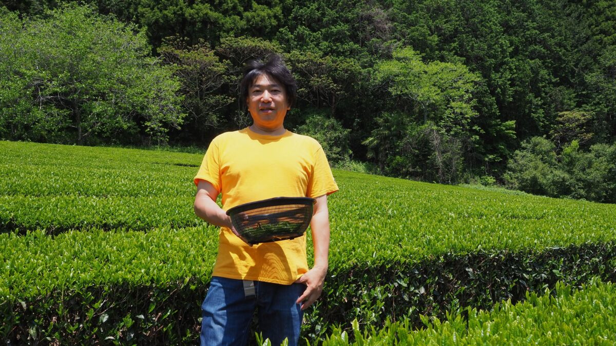 烏山製茶工場_二代目清水和行さん