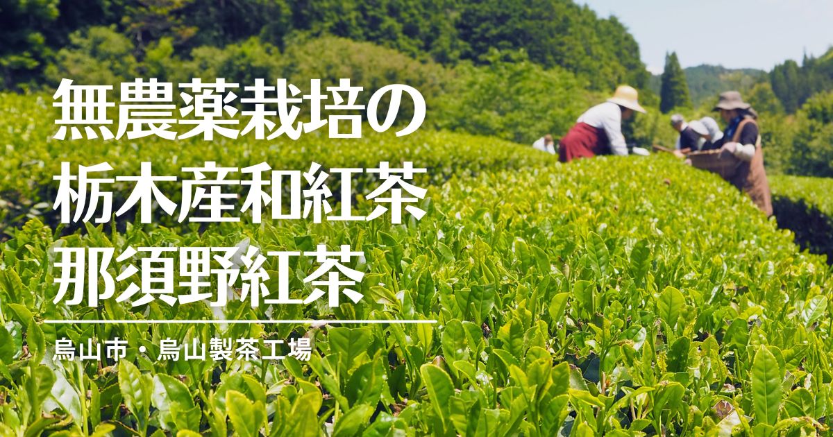烏山製茶工場_アイキャッチ