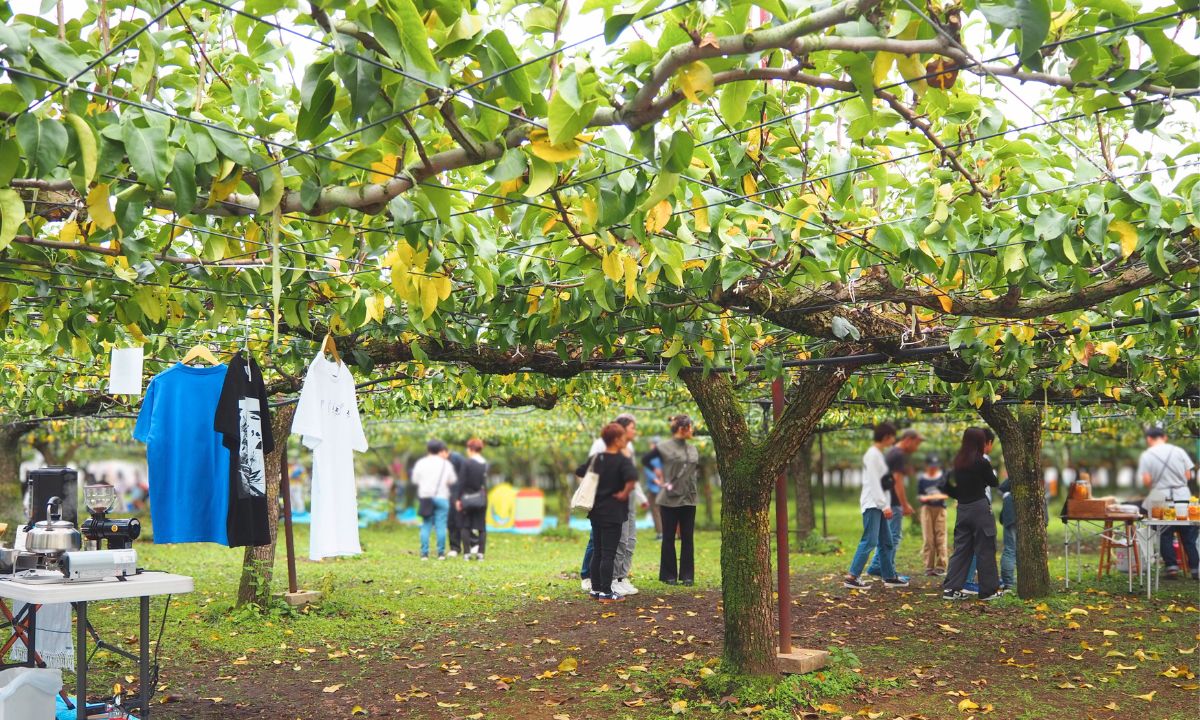 山口果樹園_感謝祭_2025_梨畑マルシェ