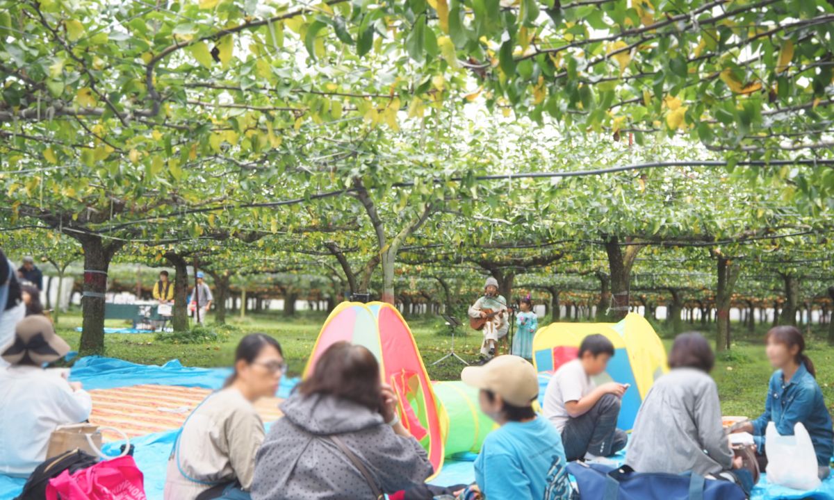 山口果樹園_感謝祭_2025_梨畑ライブ俯瞰
