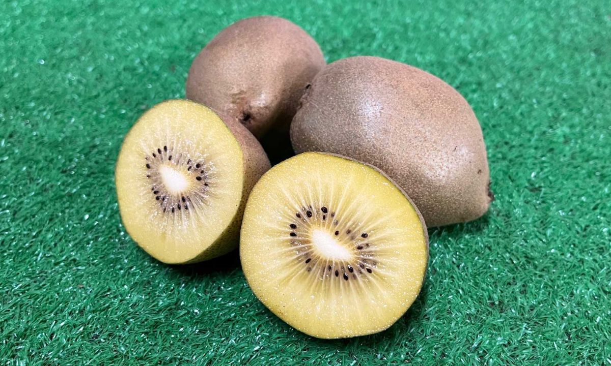 山口果樹園_感謝祭_2025_東京ゴールドキウイ