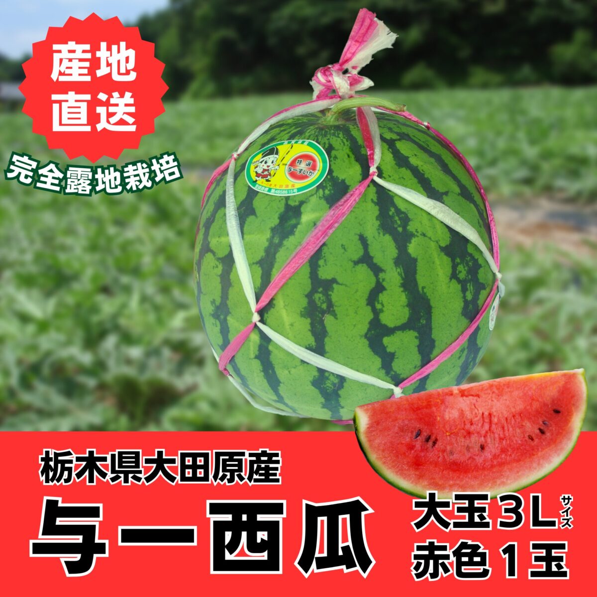 高橋農園_商品_与一西瓜_3L大玉赤