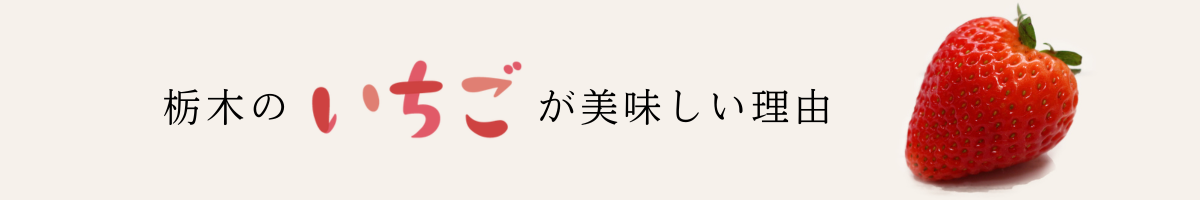 ピックアップバナー栃木のいちごが美味しい理由