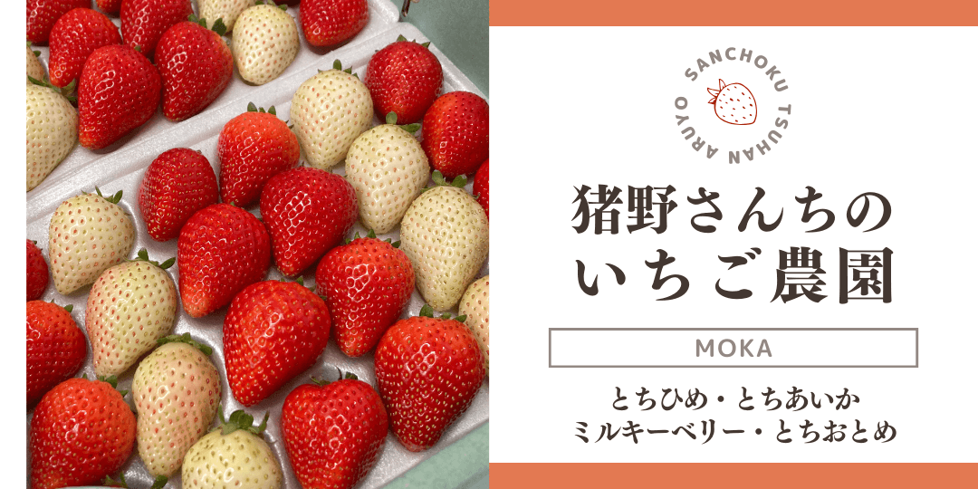 産直通販あるよ｜猪野さんちのいちご園