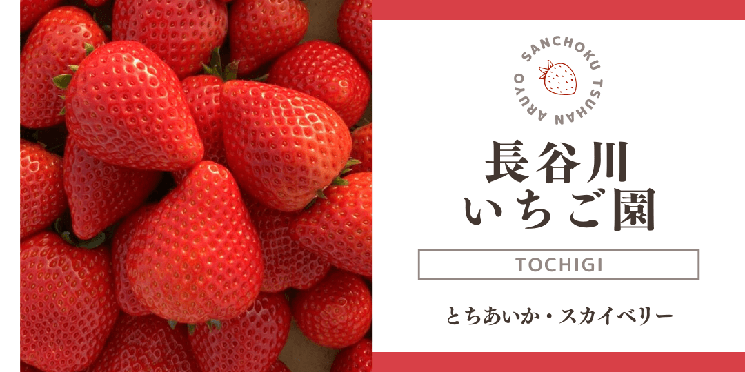 産直通販あるよ｜長谷川いちご園