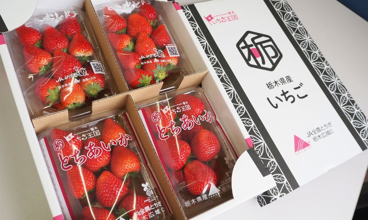 真岡いちごフェスタ とちあいかととちおとめ