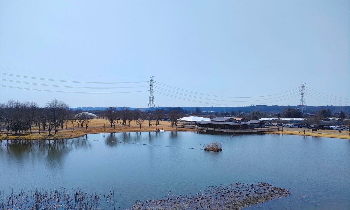なかがわ水遊園_屋上庭園からの眺め
