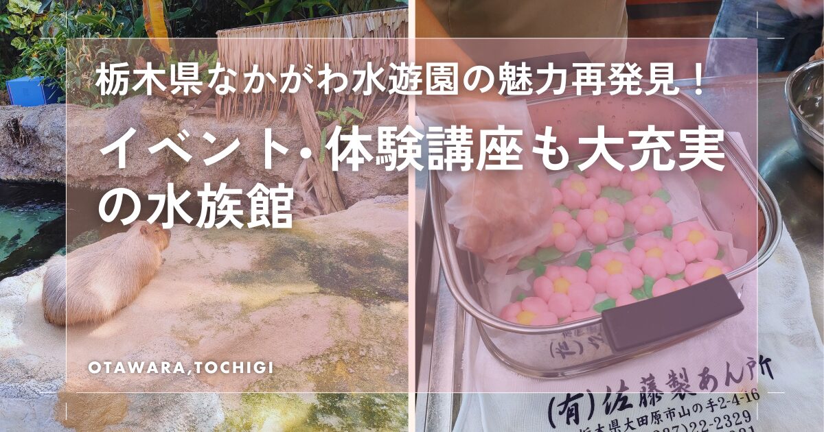 栃木県那珂川水遊園2025アイキャッチ