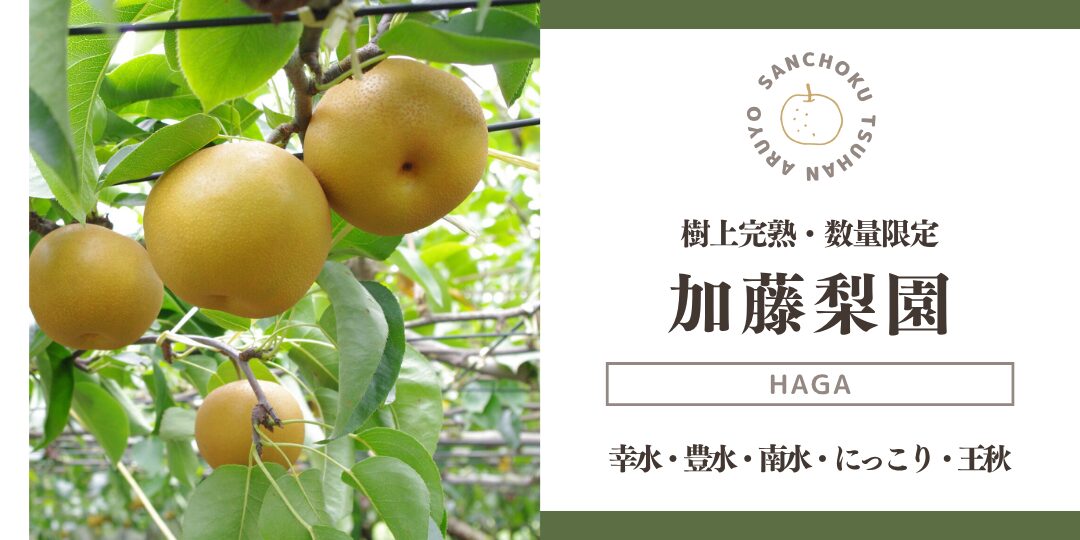 産直通販あるよ｜加藤梨園_バナー