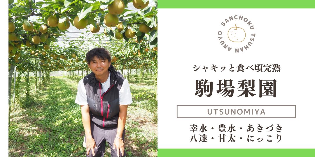 産直通販あるよ｜駒場梨園_バナー