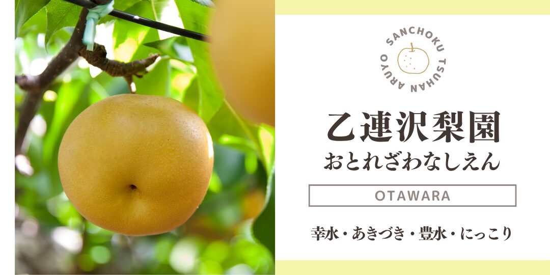 産直通販あるよ｜乙連沢梨園
