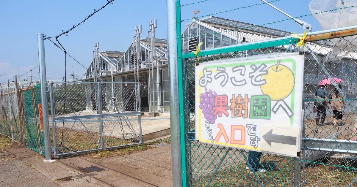 栃木農業総合研究センター公開デー_果樹園入口
