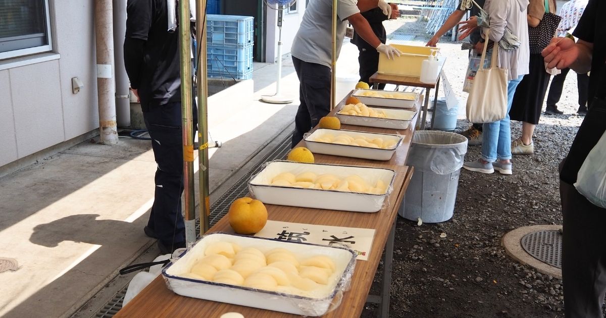 栃木農業総合研究センター公開デー_梨食べ比べ