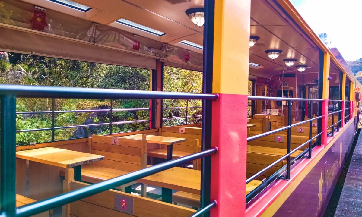 わたらせ渓谷鐵道『トロッコわたらせ渓谷号』家族で楽しむ絶景ローカル線の旅_トロッコ車両
