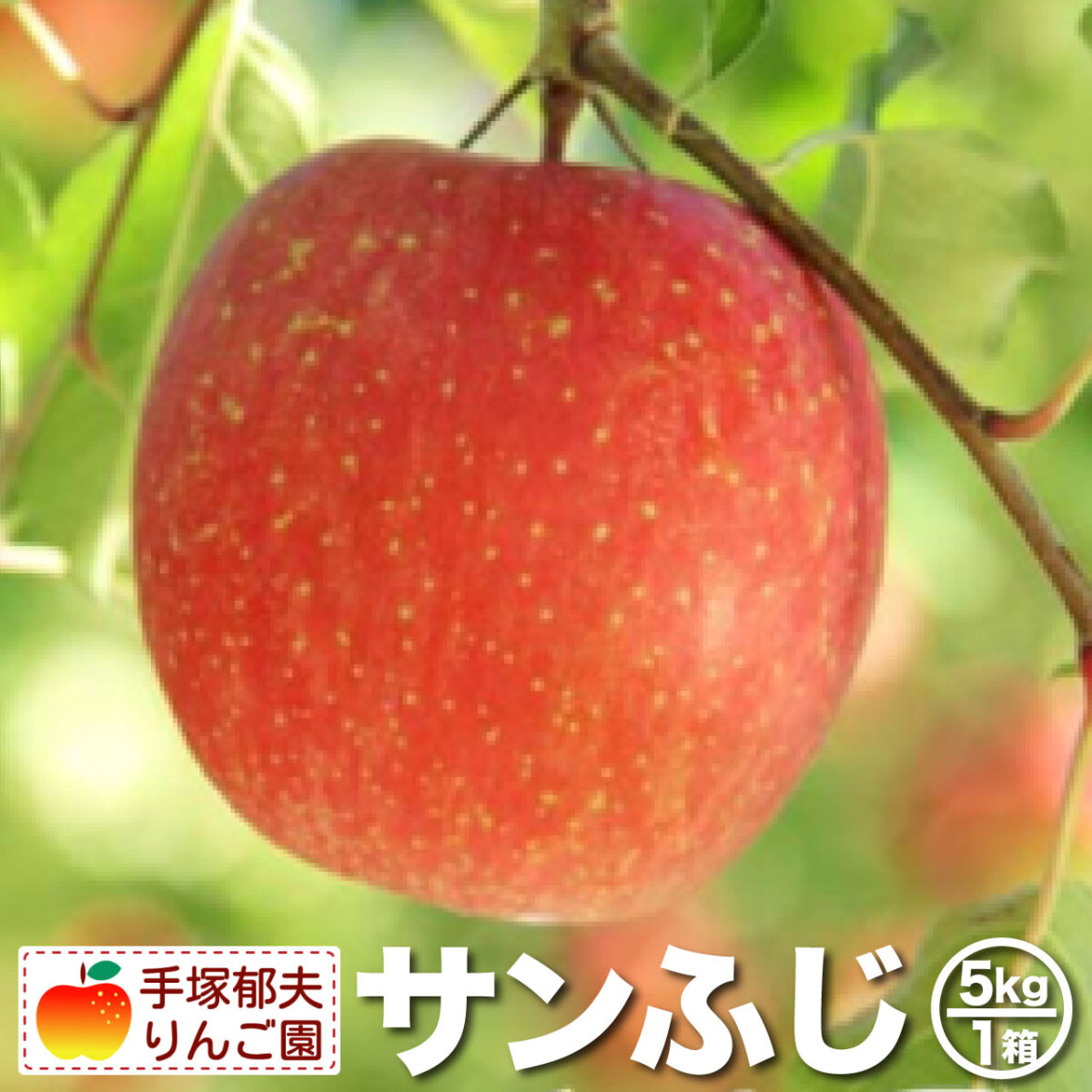 手塚郁夫りんご園_商品_サンフジ